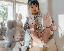 Load image into Gallery viewer, Miffy Light Blue 23cm Terry - Bon Ton Toys
